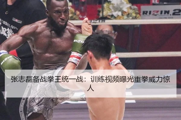 zhang-zhi-lei-bei-zhan-quan-wang-tong-yi-zhan-xun-lian-shi-pin-bao-guang-zhong-quan-wei-li-jing-ren-2-370.jpg